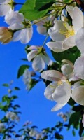 Новость от 17.04.2012 Новость от 17.04.2012